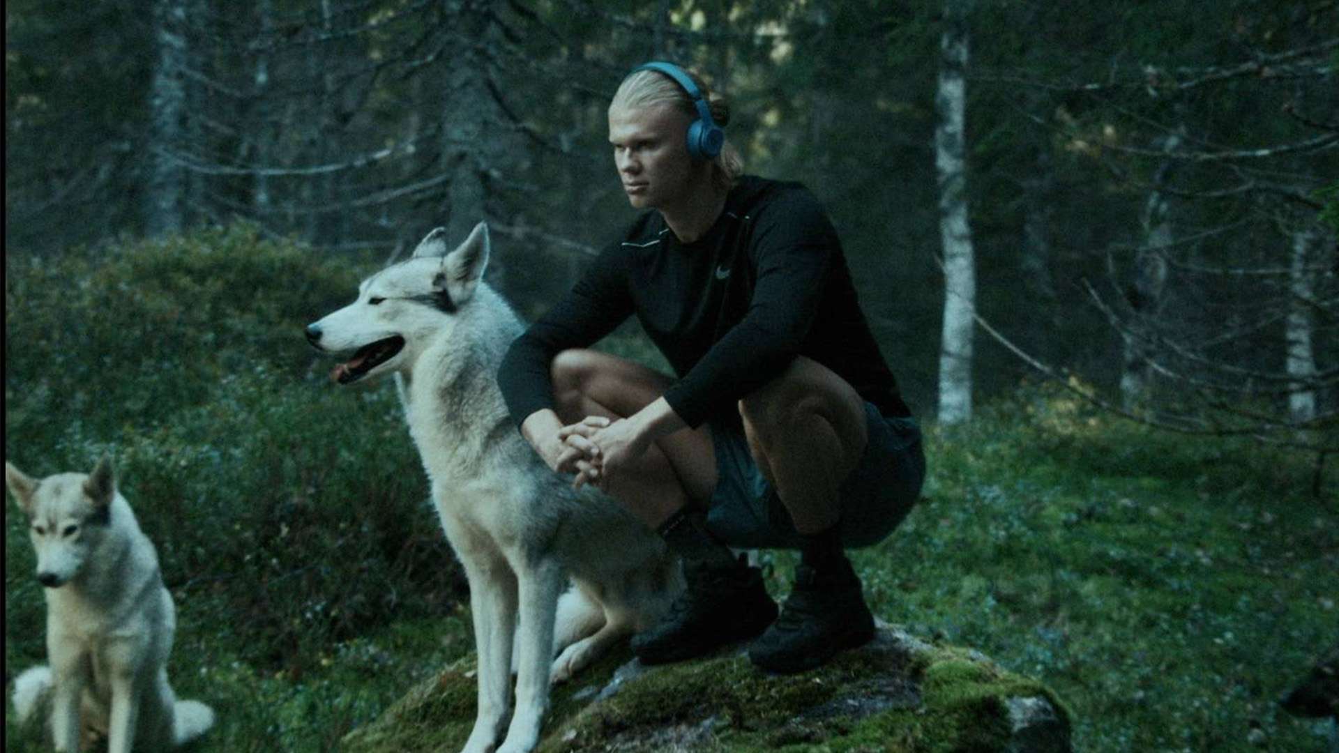 球员的缺席 球员的缺席